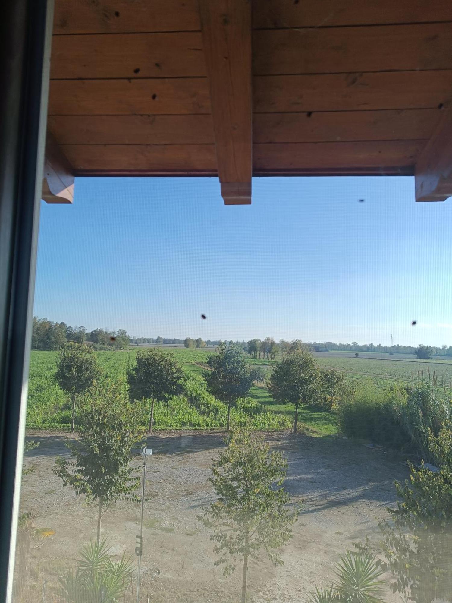 Agriturismo Le Fontanelle Da Valente مونتيشياري المظهر الخارجي الصورة