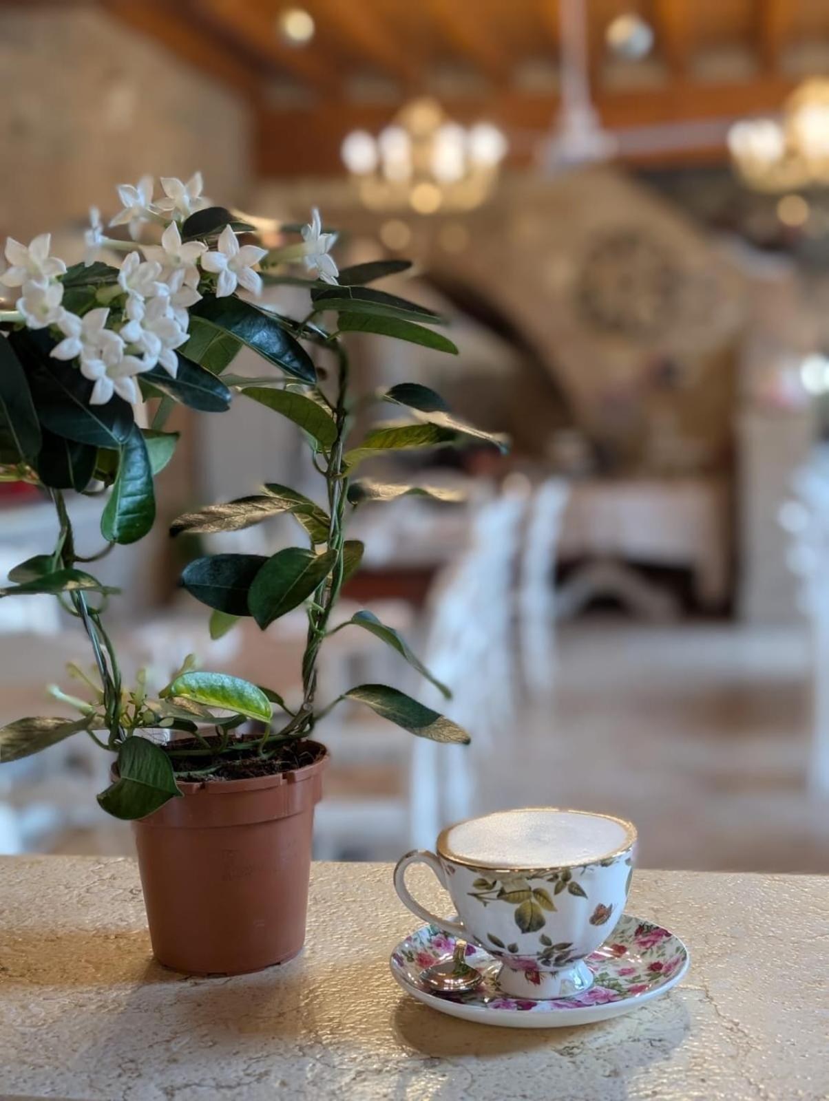 Agriturismo Le Fontanelle Da Valente مونتيشياري المظهر الخارجي الصورة